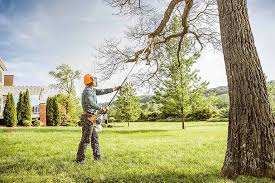 Herricks, NY Tree Removal Company