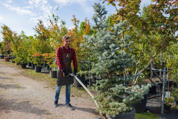 Lawn Watering Services in Herricks, NY